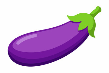 eggplant vector illustration white background