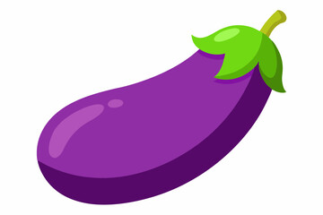 eggplant vector illustration white background