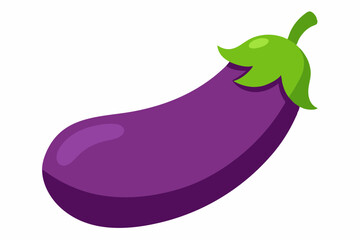 eggplant vector illustration white background