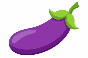 eggplant vector illustration white background