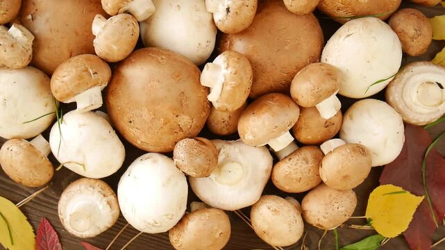 Several compositions of white and brown champignons lie on a wooden table, surrounded by colorful autumn leaves, creating a seasonal still life.