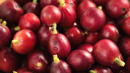 Red ripe coffee in a basket