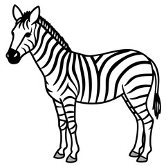 Detailed Zebra Line Drawing
