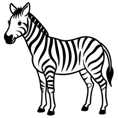 Detailed Zebra Line Drawing