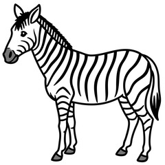 Detailed Zebra Line Drawing