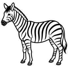 Detailed Zebra Line Drawing