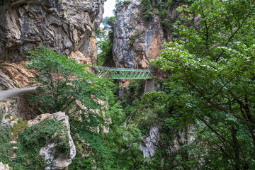 Mountain landscape in the Cares gorge in Spain, with its rocky cliffs and vegetation