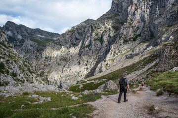 Obraz premium A hiker on a mountain path in the Cares Gorge in Spain, with its rocky cliffs and vegetation