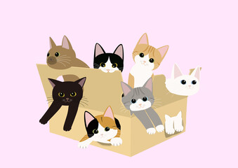 ダンボール箱に穴を開けて遊ぶ7匹の子猫