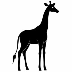 Elegant Giraffe Silhouette Vector
