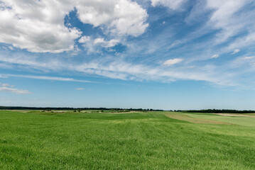 Expansive Green Field Under a Blue Sky With White Clouds