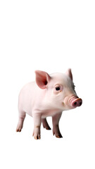 Fototapeta premium Pink Piglet Standing Side View On White Background