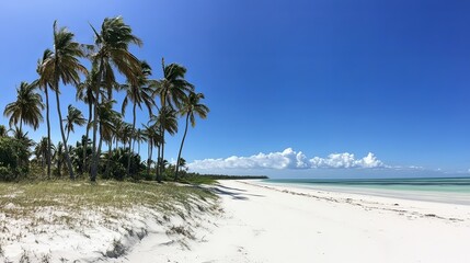 Fototapeta premium Relaxing beach escape with palm trees tropical paradise landscape photography sunny weather serene view nature's beauty