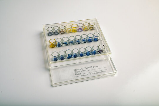 Urine Culture Bacteria Testing Kit Colorful Biochemical Identification Panel