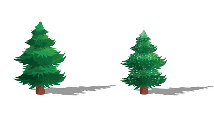 Pair of Pine Trees in Winter Scene – One with Snow and Long Shadows