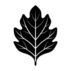 Fototapeta premium Oak Leaf Silhouette Vector Isolated on Transparent Background