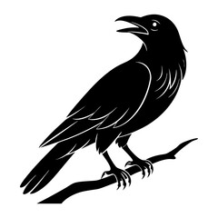 Obraz premium Crow Silhouette Perched on a Branch Vector Illustration