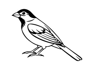 Singing Bird Outline. Vector Art
