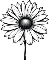 A black and White Daisy Flower silhouette