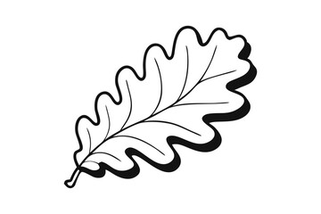 Oak leaf simple line art isolated vector illustration
