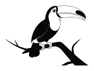 Toucan bird silhouette vector illustration perched on a tree branch © Rabea