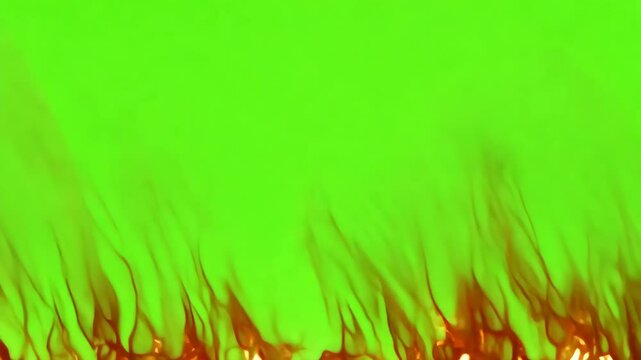 Fresh green grass texture on a spring field evokes a natural, vibrant landscape