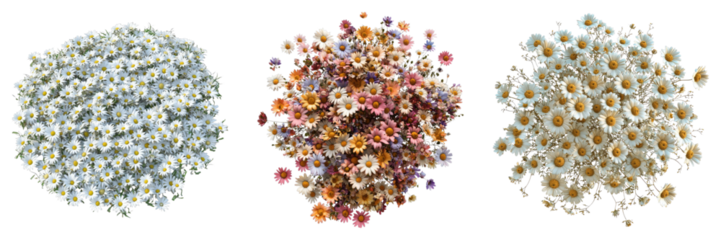 Many beautiful for making Isolated on transparent background. PNG , Set of