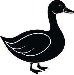 duck vector illustration
