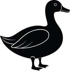 duck vector illustration