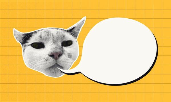 Funky halftone Cat Collage with Speech Bubble on Yellow Grid Background with grain