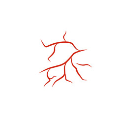 illustration of human blood vessels