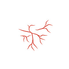 illustration of human blood vessels