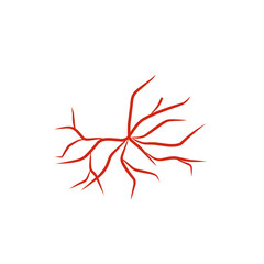 illustration of human blood vessels