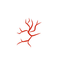 illustration of human blood vessels