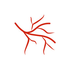 illustration of human blood vessels