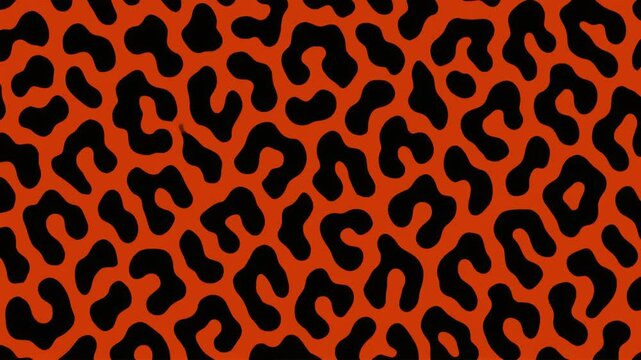 Seamless loop animation pattern of abstract black leopard spots on orange background
