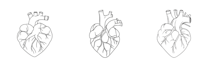 A set of simple heart shapes drawn in one fluid line, isolated on a transparent background