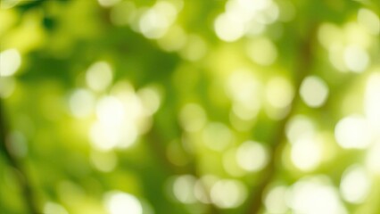 Obraz premium Green bokeh background