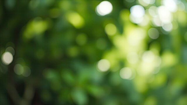 Green bokeh background