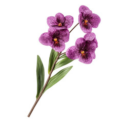 Obraz premium Vibrant single stem of vanda orchid flowers with lush green leaves against a transparent background, single stem of vanda orchid flowers isolated on transparent background