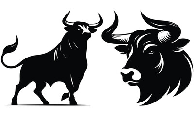 black and white bull