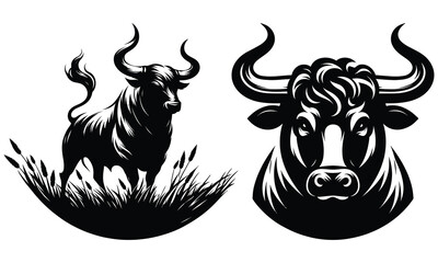 black and white bull