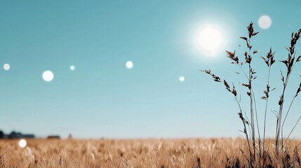 Obraz premium Wheat fields swaying in the wind, golden hues under the bright summer sun.