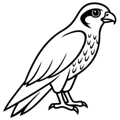 Minimalist Falcon Line Art Vector