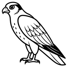 Minimalist Falcon Line Art Vector