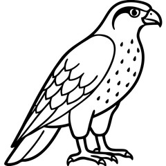 Minimalist Falcon Line Art Vector