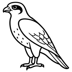 Minimalist Falcon Line Art Vector