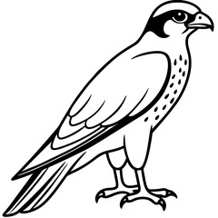 Minimalist Falcon Line Art Vector