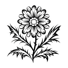 Daisy Flower Black and White with Thorns and Leaves Simple Decoration
