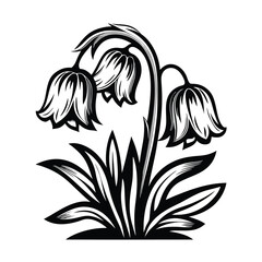 Black & White Bellflower Illustration, Botanical, Monochrome Floral Design, Isolated